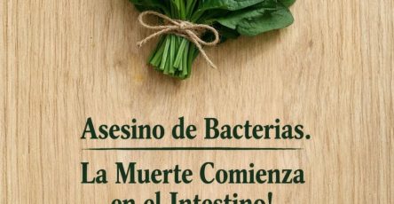 668778859 1472063407707855 1402740994113507979 n