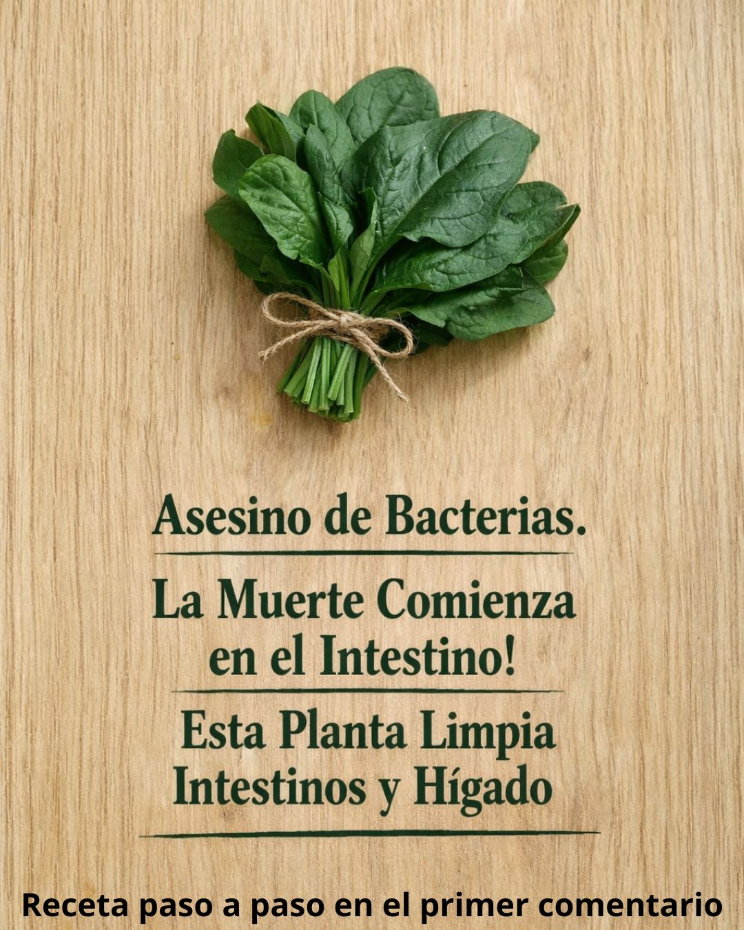 668778859 1472063407707855 1402740994113507979 n