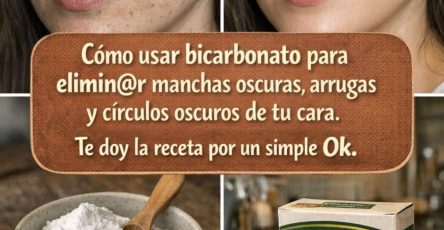 669247898 1476184387512530 576323477796138625 n