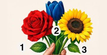 669586502 2206013976884006 8644610705109594715 n