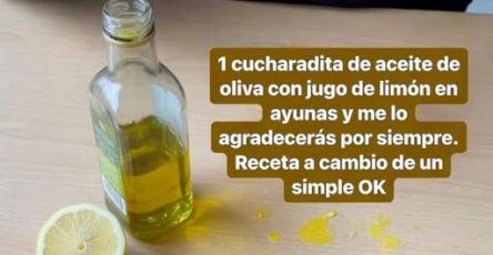 669951078 1589884962087036 9087855198367562994 n