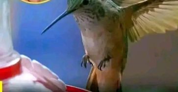 670286185 1986141118953634 1043844573927007722 n