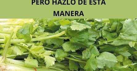 670422673 2163405507727050 6960540809194634362 n