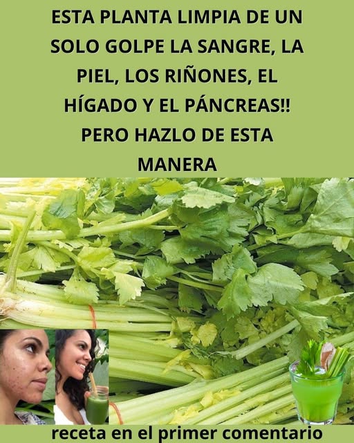 670422673 2163405507727050 6960540809194634362 n