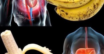 670802581 995248849840606 4360284779754108039 n