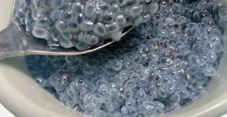 670869100 1120634444460270 1881418337199464393 n