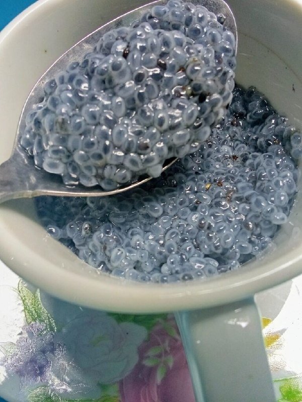 670869100 1120634444460270 1881418337199464393 n