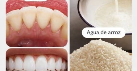 671245090 2021724238773594 3619981172800034196 n