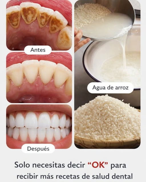 671245090 2021724238773594 3619981172800034196 n