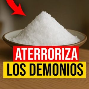 671447367 2104670993714251 899308983171526536 n