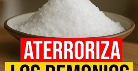 671447367 2104670993714251 899308983171526536 n