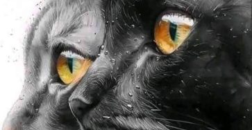 671466905 2687391931636326 6205733299592126647 n