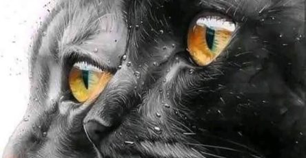 671466905 2687391931636326 6205733299592126647 n