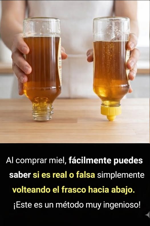 671869763 1589358552148408 3557343263412448074 n