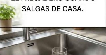 672228231 2144977542969665 1019986461453749095 n