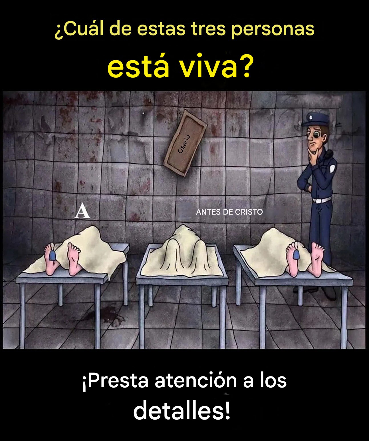 672439638 2249875242413132 3929252339909913798 n