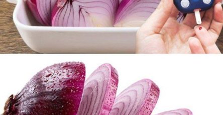 672558699 1252496970331594 6358803727916698097 n