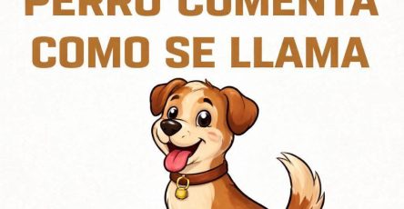 672672280 122310153272194551 1741841731936935281 n