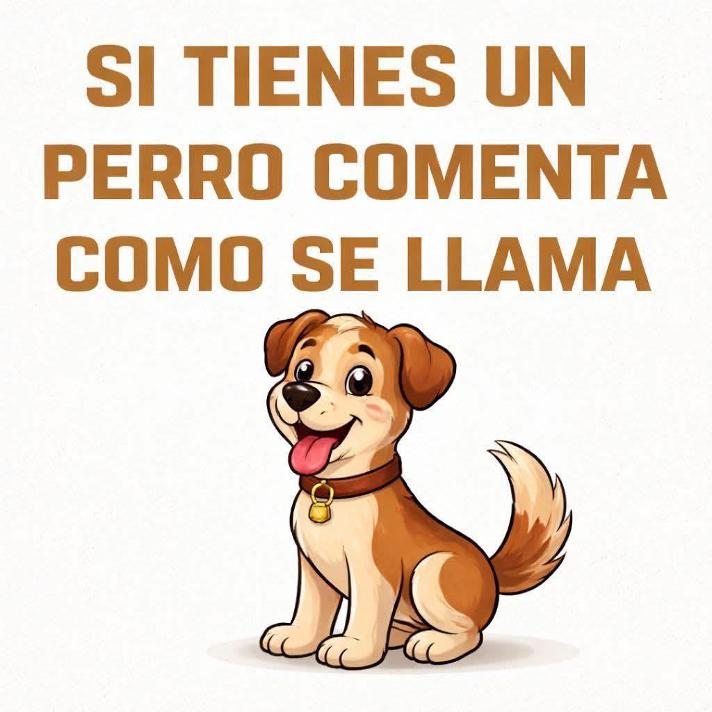 672672280 122310153272194551 1741841731936935281 n