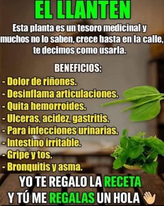 672674066 1677954376733409 3072354946992764344 n