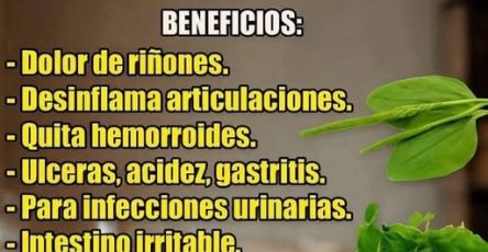 672674066 1677954376733409 3072354946992764344 n