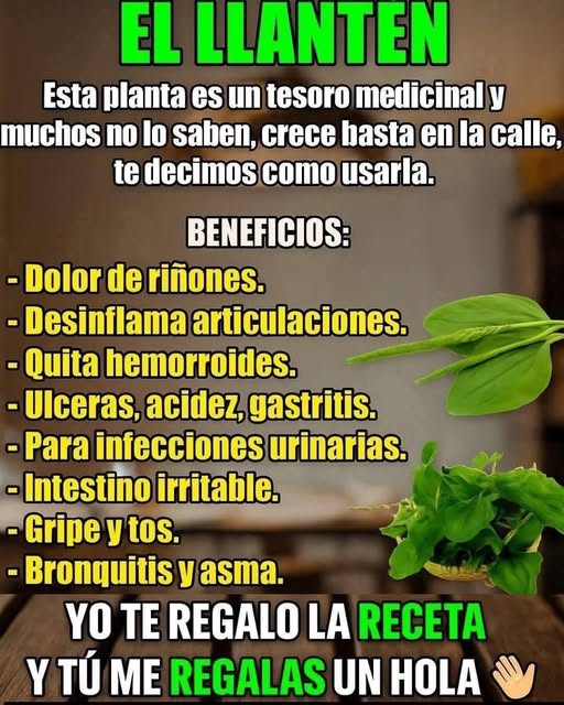 672674066 1677954376733409 3072354946992764344 n