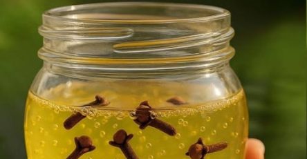 672674169 2015264182357848 7696501995296491239 n