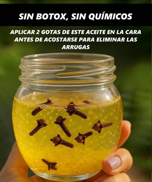 672674169 2015264182357848 7696501995296491239 n