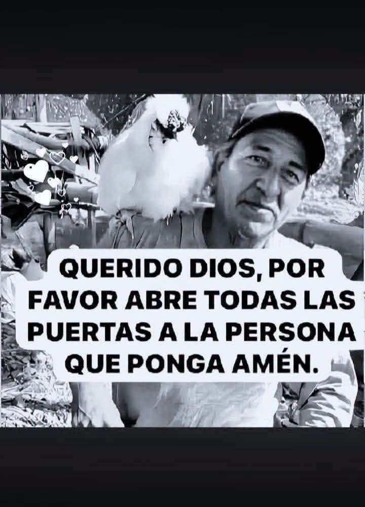 672681380 2830720883934405 3938505037005570831 n