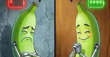 672685977 1514569543391749 4013689843257842729 n