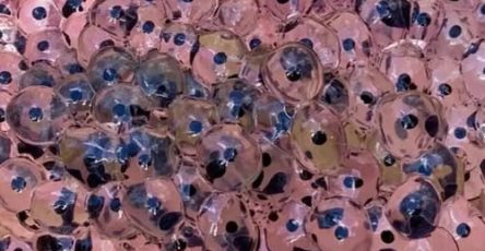 672688936 122292185492227840 7691856248580132626 n