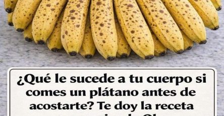 672691989 122203391582864735 8145407782532295837 n