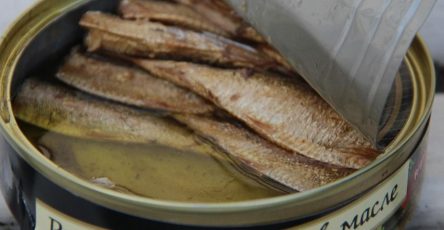 672809279 2054119765518620 5326902710271707726 n