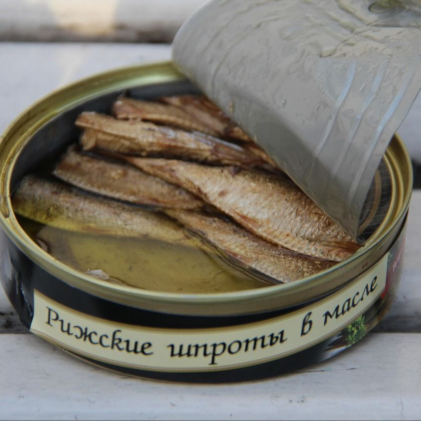 672809279 2054119765518620 5326902710271707726 n