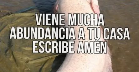 673101692 2404654666705457 5702347018760973001 n