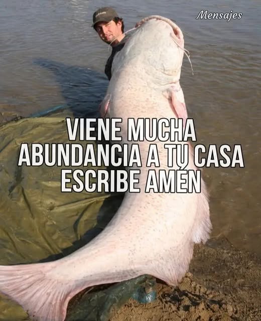 673101692 2404654666705457 5702347018760973001 n