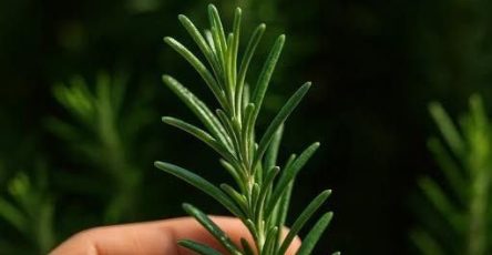 673104109 1482172413583953 5075405372673859388 n