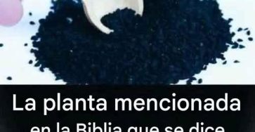 673121111 1268333052071153 591972216591179885 n