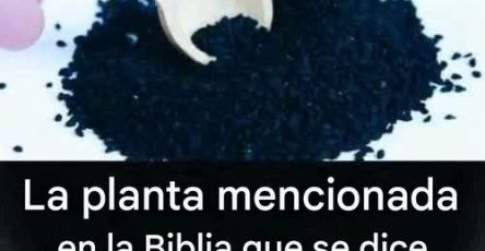 673121111 1268333052071153 591972216591179885 n