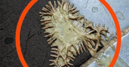 673547438 1278317437738381 7494704533046561388 n