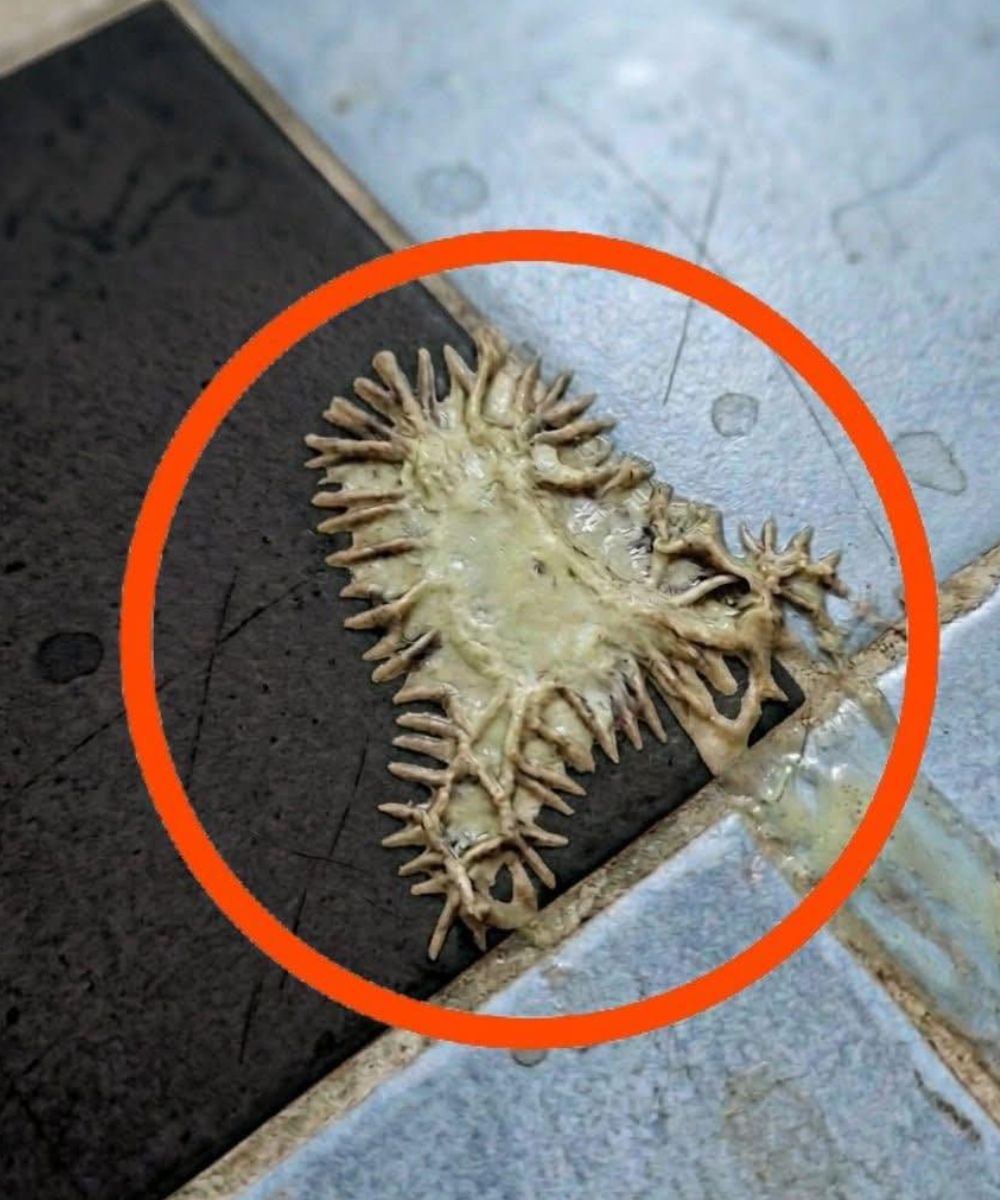 673547438 1278317437738381 7494704533046561388 n