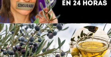 673898560 1970925027149354 8797773019929482031 n