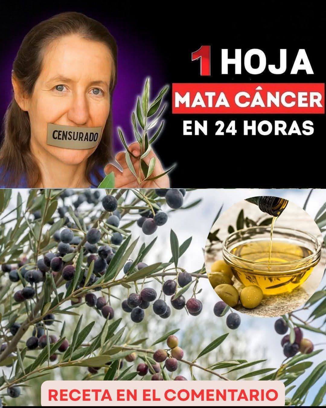 673898560 1970925027149354 8797773019929482031 n