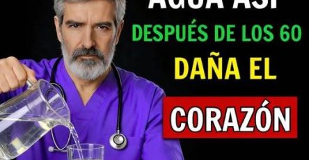 674090252 1628370454999084 5943226746642049328 n