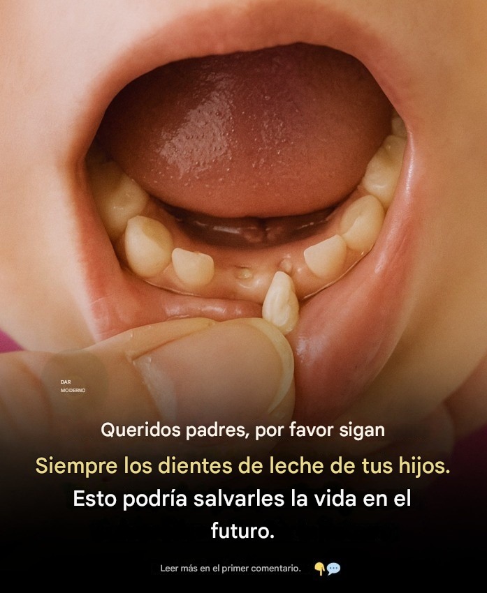 674159168 4411289179107314 7381754800922913091 n