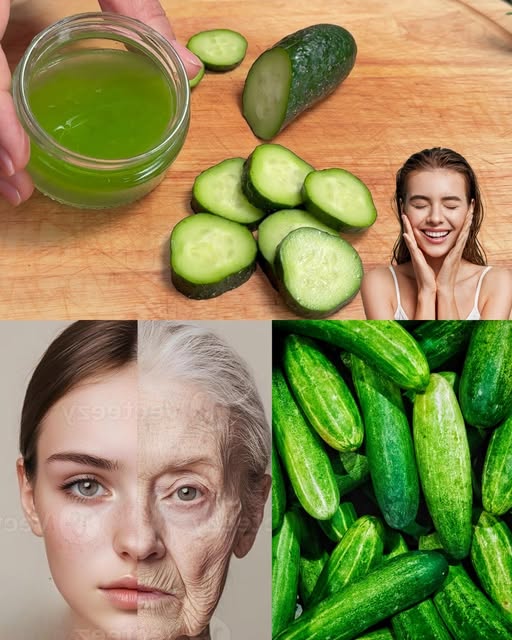 674191100 918227424361980 4473418220668668289 n