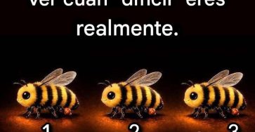 674207804 1980687319991719 8291577340288353014 n