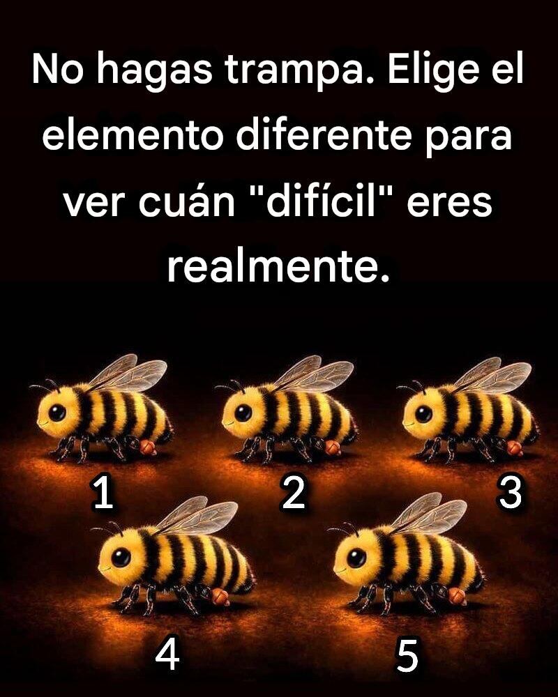 674207804 1980687319991719 8291577340288353014 n