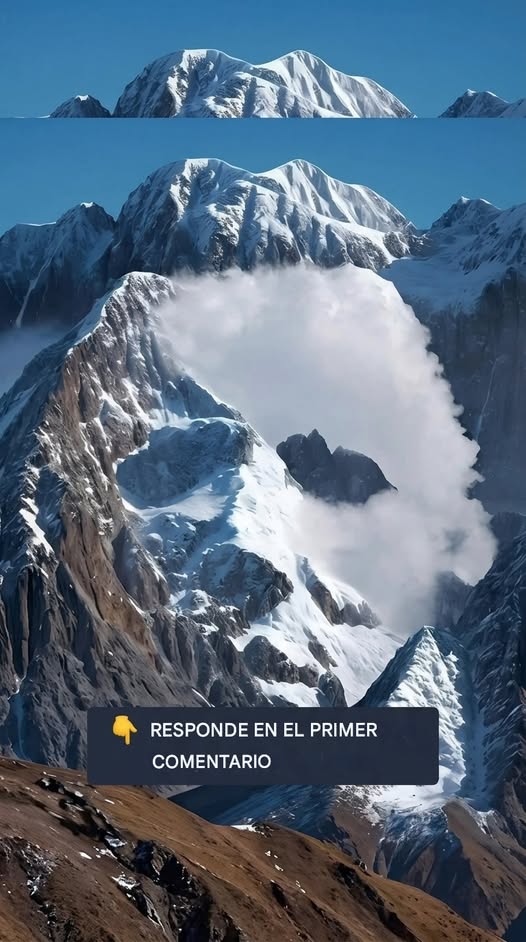 674227214 1239543354868912 3089327944404510741 n