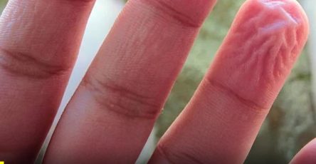 677374666 1265994619057178 8947174472416470124 n